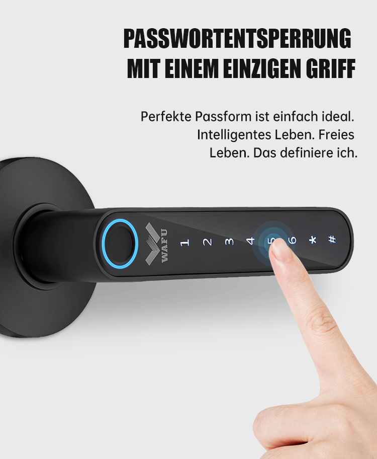 WF‑016 18‑stellige Phantom‑Passworteingabe – Demo