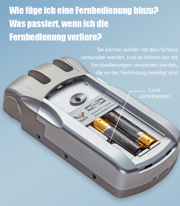 WF‑019 Fern‑Reset‑Loch