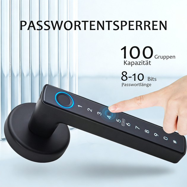 WF‑F6 100 Passwörter – 8–10 Stellen