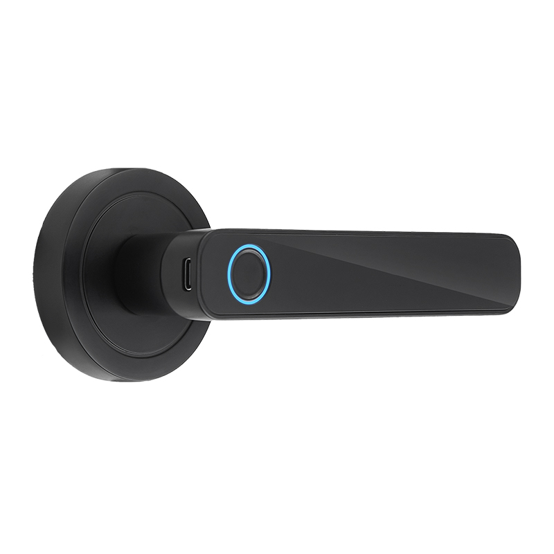 WF-F3 Fingerabdruck & Passwort Griffschloss Schwarz Erscheinung