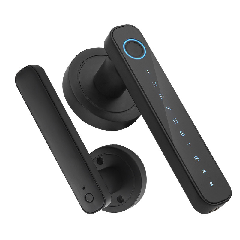 WF-F4 Fingerabdruck & Passwort Griffschloss