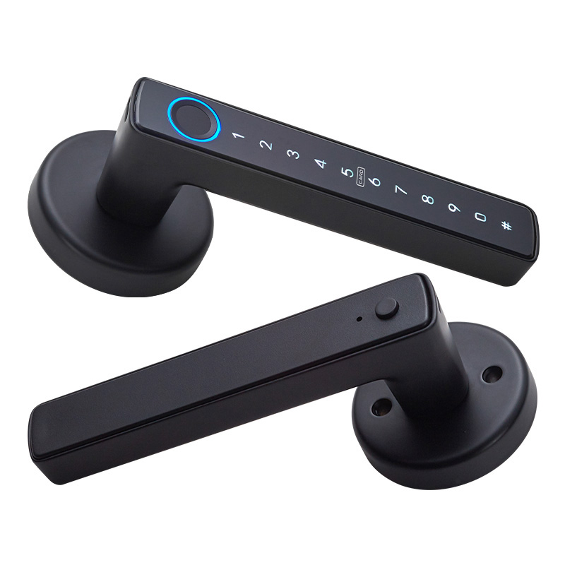 WF-F6 Fingerabdruck Griffschloss Erscheinung