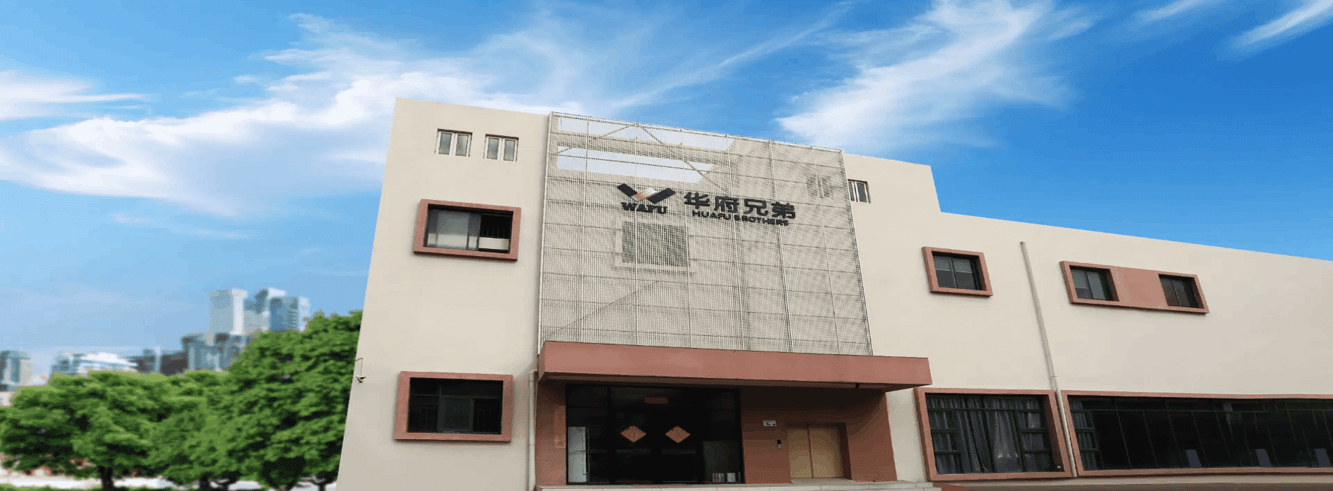 Professionelle Marke für intelligente WAFU‑Schlösser